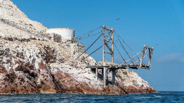 Scenery from Paracas National Park in Peru with different bird kinds. Ica, Peru