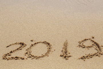 New year 2019