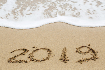 New year 2019