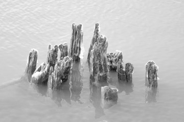Daytime black and white stock photo of remnants of icy wooden pylons protruding from Lake Erie in Buffalo New York in Erie County.