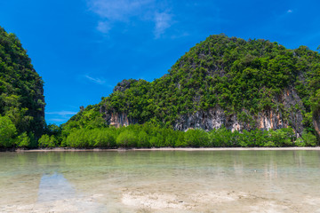 Fototapeta premium view of the bay on the island of Hong in Thailand at low tide