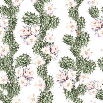 Fototapeta Watercolor pattern with cactus .