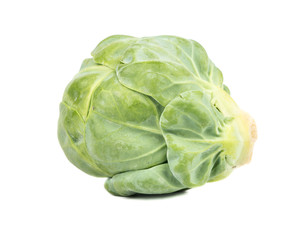 Fototapeta premium Raw brussel cabbage