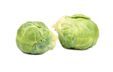 Fototapeta premium Raw brussel cabbage