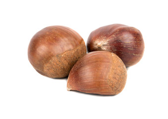 Three edible chestnuts