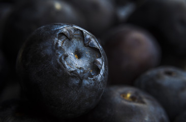 blueberry, bilberry detail macro backround
