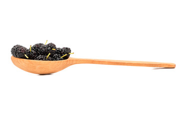 Black mulberry in spoon