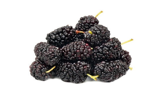 Bunch of black mulberry
