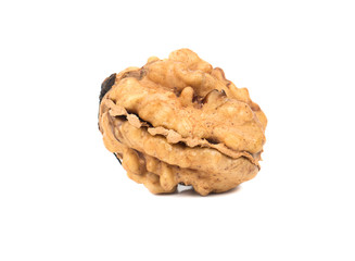 Walnut without shell
