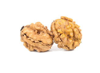Two walnut without shell