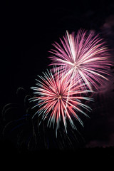 Obraz premium Fireworks Color Burst
