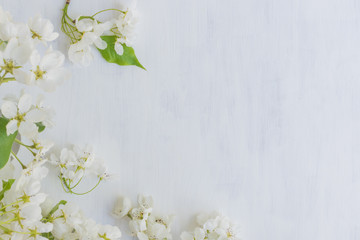 Fototapeta na wymiar White spring flowers on a light background