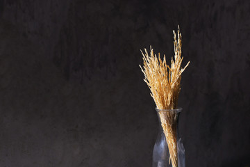 Image of Yellow dried wheat in black vase with copy space and cement wall texture in the background