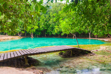Attraction of Krabi in the jungle - Emerald pool without people
