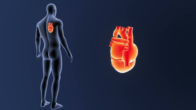 Heart zoom with Body