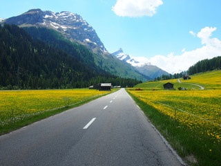 Strada alpina