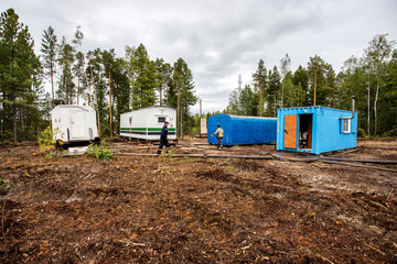 Naklejka premium Taiga