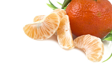 Mandarin or Tangerine fruit with leaves on a white background