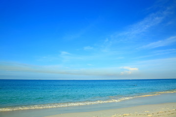Fototapeta na wymiar Amazing view on Eagle Beach of Aruba Island. Caribbean. Beautiful nature background. 