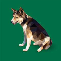 Black brown dog sitting isolated on green background, furry canine pet low polygon, pooch animal crystal design illustration, modern geometric hound graphic.