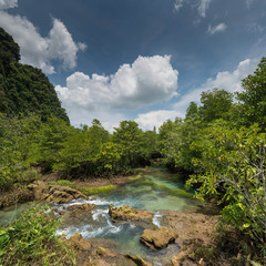 Mangrove forest at Tha Pom Khlong Song Nam Krabi,Thailand
