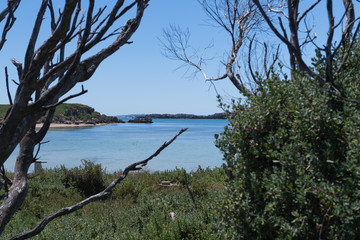 Blick durch Bäume und Gebüsch auf eine ruhige Bucht