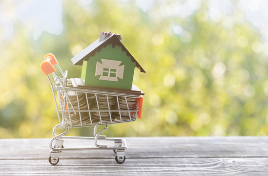 house in a trolley from a supermarket with coins on a wooden table on a background of trees. buying property.
