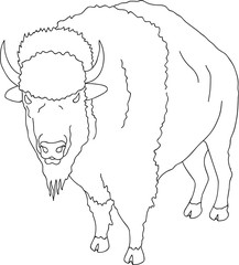 Hand Drawn Doodle Sketch Line Art Vector illustration of Wild Buffalo. Black Outline  Logo Design Element. Coloring Book Page for Adults Kids. Wanderlust Nature Concept