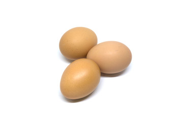 isolated eggs on white backgrounds