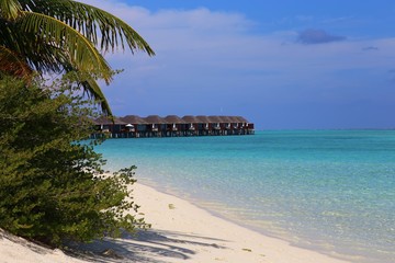 a beach with green bushes and a view of the bungalow. Maldivian landscape