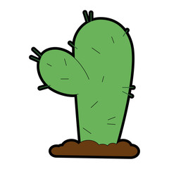 cactus desert isolated icon vector illustration design