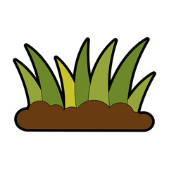 plants cultivated isolated icon vector illustration design