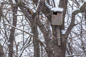 Wooden birdhouse hanging on tree in winter forest