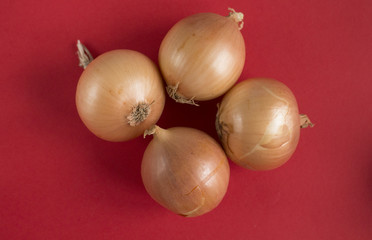 Onion on red paper background