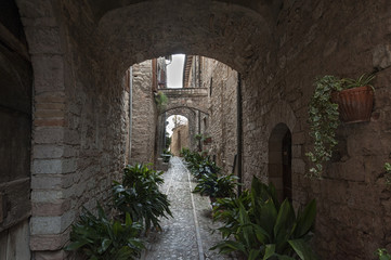 Spectacular traditional italian medieval alley in the historic center of beautiful little town of Spello (Perugia), in Umbria region -  central Italy