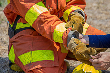 Fototapeta premium firefighters buddy help to wearing fire protection gloves