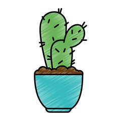 pot with desert plant vector illustration design