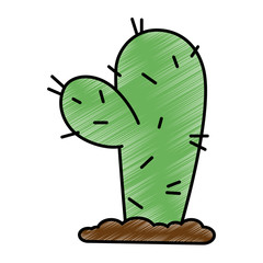 cactus desert isolated icon vector illustration design