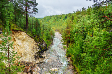 View on Kyngyrga River. Arshan. Russia