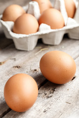 chicken eggs in the tray