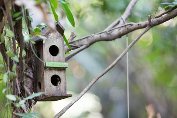 bird house hanging in garden