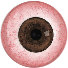 Realistic human eye with  brown iris