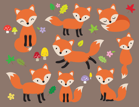 Cute fox vector illustration in various poses with leaves and flower elements.