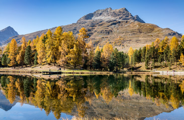  Landscape at Emerald Trail in St. Moritz, Switzerland.