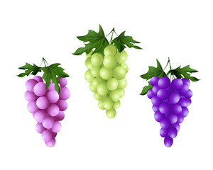 grapes green red and black