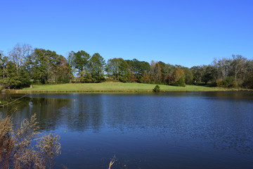 lake in Georgia