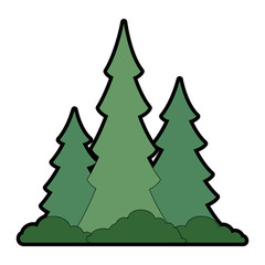 pine forest scene icon vector illustration design