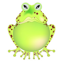 Cartoons hand drawn angry green frog on white stock vector illustration