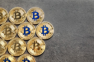Golden bitcoins on grey background