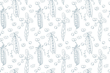 Seamless pattern Hand drawn sketch peas. Outline style peas. Green pods of sweet pea. Farm market product, Vector organic eco food. EPS10